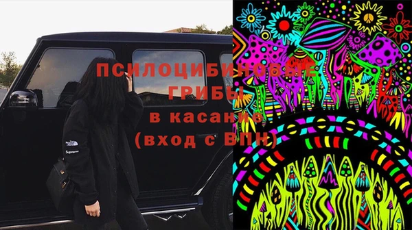 apvp Аркадак