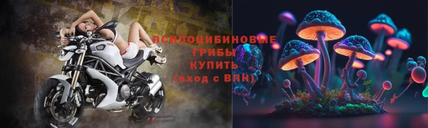 шишки Армянск