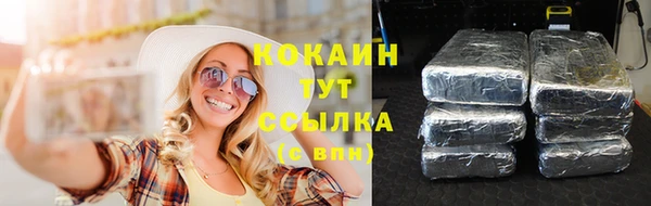 apvp Аркадак