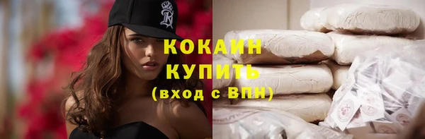 шишки Армянск