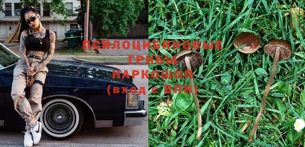 шишки Армянск