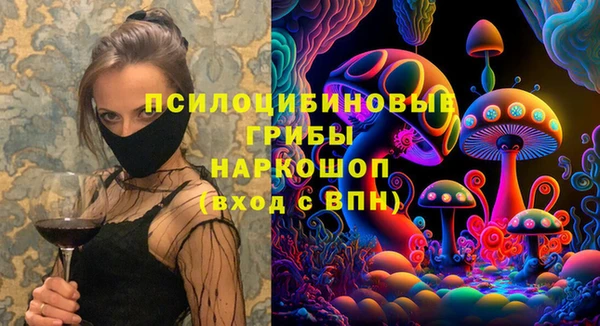 mix Арсеньев