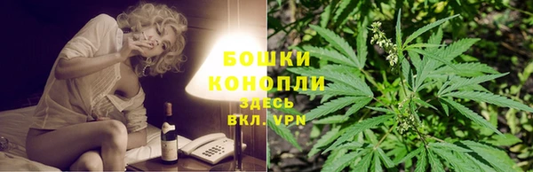 apvp Аркадак