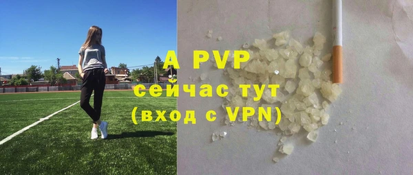 шишки Армянск