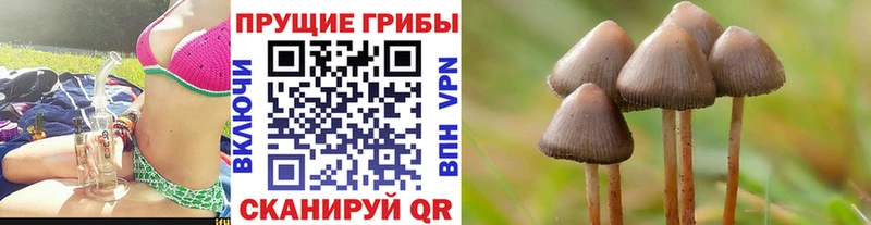 гидра зеркало  Краснослободск  Псилоцибиновые грибы мухоморы 